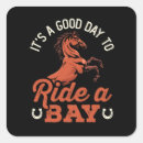 Pesquisar por cavalo e cavaleiro adesivos Equitação