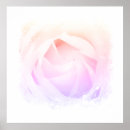 Pesquisar por cores pastel pôsteres pósteres Rosa