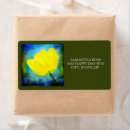 Pesquisar por cor verde etiquetas Para ela