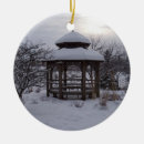 Pesquisar por nevadas ornamentos Neve