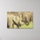 Pesquisar por elefantes impressão de canvas Elefante índio