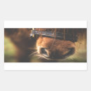 Pesquisar por cavalo marrom adesivos Equestre