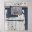 Pesquisar por basquetebol pósteres Esporte