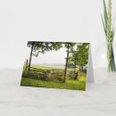 Pesquisar por dividido cartoes Qualquer pessoa