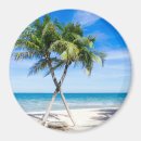 Pesquisar por praia florida imas Árvore