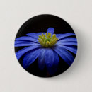 Pesquisar por gerberas botons Margarida