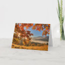 Pesquisar por alvorecer horizontal cartoes Floresta