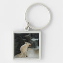 Pesquisar por lobo lobo branco chaveiros Cão