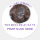 Pesquisar por etiquetas para livros Qualquer crinaça