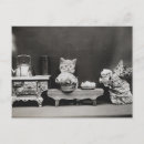 Pesquisar por bule cartoes postais Animais