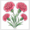 Pesquisar por cravos adesivos Rosa