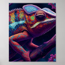 Pesquisar por reptil pósteres Lagarto