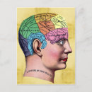 Pesquisar por crânio humano cartoes postais Anatomia