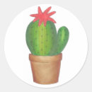 Pesquisar por cactos adesivos Flor