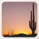 Pesquisar por cacto porta copos Fotografia