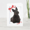 Pesquisar por scottish terrier natal cartoes Scottie