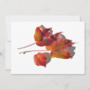 Pesquisar por veia cartoes Outono