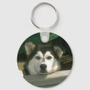 Pesquisar por filhote de cachorro do chaveiros Cachorros