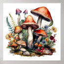 Pesquisar por cogumelos da fantasia artes pósteres Para todos