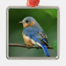 Pesquisar por ramos ornamentos Animal