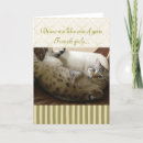 Pesquisar por cat valentine cartoes Humor