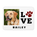 Pesquisar por pata cachorro imas Veterinário