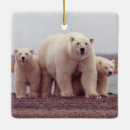 Pesquisar por urso polar ornamentos Família