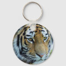 Pesquisar por tigre siberian chaveiros Animal