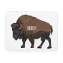 Pesquisar por planícies imas Bisão