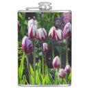 Pesquisar por tulipa cantis Jardim