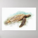 Pesquisar por tartaruga marinha pôsteres pósteres Aquarela