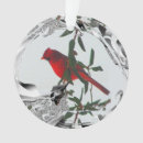 Pesquisar por cardinal ornamentos Foto