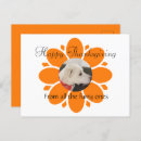 Pesquisar por e a turquia cartoes postais Cão