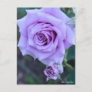 Pesquisar por sweet cartoes postais Saudação