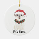 Pesquisar por shih tzu ornamentos Branco