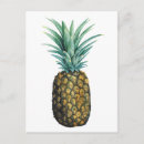 Pesquisar por fruta cartoes postais Aquarela