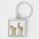 Pesquisar por sombras chaveiros Quadrado