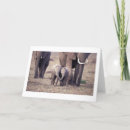 Pesquisar por wildlife cartoes Elephants