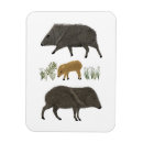 Pesquisar por javali imas Animais