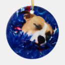 Pesquisar por terrier ornamentos Amante do cão