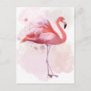 Pesquisar por flamingo cartoes postais Tropicais