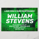 Pesquisar por jardineiro flyers Profissional