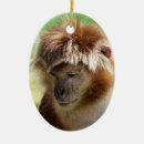 Pesquisar por macaco bonito ornamentos Animal