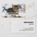 Pesquisar por foto gato padrao cartao de visita Gatinho bonito