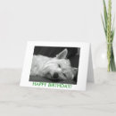 Pesquisar por west highland terrier cartoes Dog