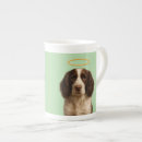 Pesquisar por springer spaniel canecas Cachorro