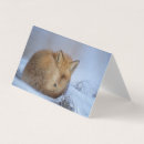 Pesquisar por raposa cartoes Inverno