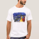 Pesquisar por orvalho camisetas Vermelho
