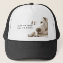 Pesquisar por pitbull bones Cachorrinho