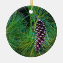 Pesquisar por pine cone ornamentos Qualquer pessoa